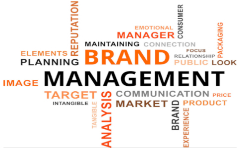 Corporate Brand Management image